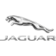 Jaguar-2.png